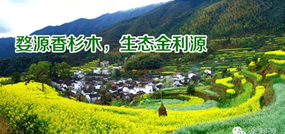 金利源板材/金品質(zhì) 源生態(tài).從源頭精挑細(xì)選，為品質(zhì)保駕護(hù)航——中國(guó)板材十大品牌品質(zhì)篇