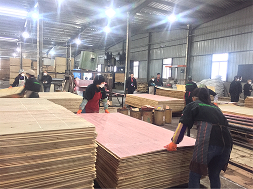 圖片20.png 圖片20.png