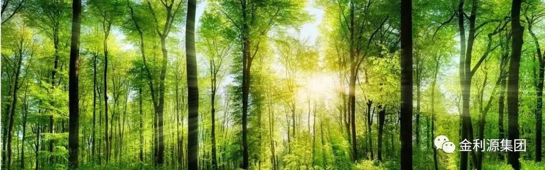 植樹節(jié) | 金利源帶你享受綠色家居生活！