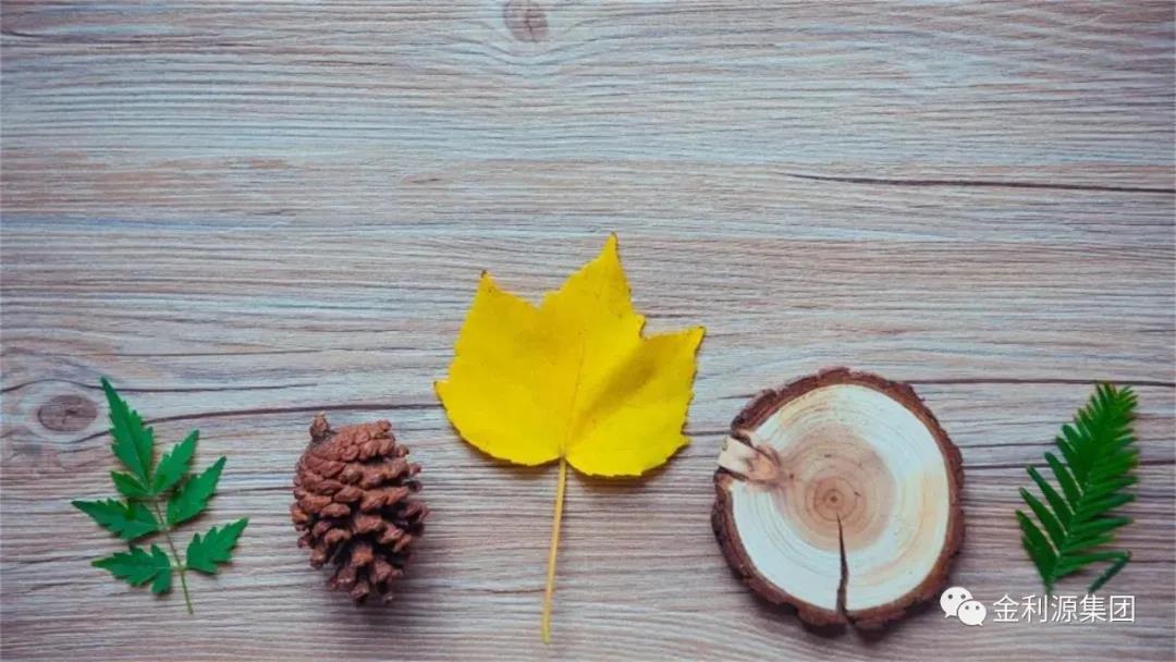 秋季地板 | 生活有“藝”思，地板是基調(diào)